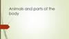 Animals and parts of the body