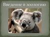 Введение в зоологию