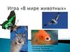 Игра «В мире животных»