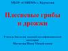 Плесневые грибы и дрожжи
