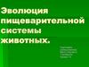 Эволюция пищеварительной системы животных