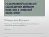Регулирование численности безнадзорных домашних животных в Тюменской области