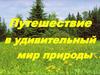 Путешествие в удивительный мир природы