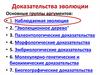 Доказательства эволюции. Основные группы аргументов