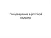 Пищеварение в ротовой полости