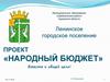 Народный бюджет