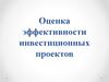 Оценка эффективности инвестиционных проектов