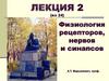 Физиология рецепторов, нервов и синапсов