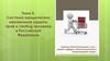 Система юридических механизмов защиты прав и свобод человека в Российской Федерации. Тема 5