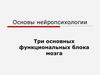 Три основных функциональных блока мозга