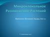 Микроклональное размножение растений