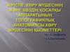Көру мүшесінің және көздің қосалқы аппаратының топографиялық анатомиясы. Көру мүшесінің қызметтері