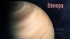 Венера