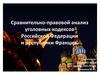 Сравнительно-правовой анализ уголовных кодексов Российской Федерации и республики Франция