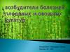 Возбудители болезней плодовых и овощных культур