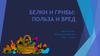 Белки и грибы: польза и вред