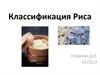 Классификация риса