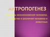 Антропогенез. Гипотезы возникновения человека. Сходство и различия человека и животных