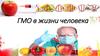 ГМО в жизни человека