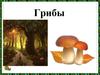 Грибы. Строение гриба