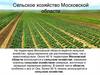 Сельское хозяйство Московской области