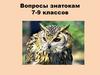 Знатоки русского языка. Вопросы знатокам 7-9 классов
