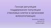Генная регуляция поддержания популяции стволовых клеток в организме млекопитающих