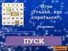Игра "Угадай, кто спрятался". Насекомые