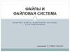 Файлы и файловая система. Понятие файла, файловой системы, классификация