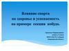Влияние спорта на здоровье и успеваемость