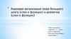 Корковая организация (кора большого мозга (слои и функции) и мозжечка (слои и функции)