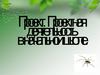 Проект. Проектная деятельность в начальной школе
