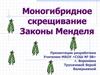 Моногибридное скрещивание. Законы Менделя
