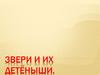 Звери и их детёныши