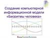 Модели и моделирование. Создание компьютерной модели «Биоритмы человека»