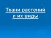 Ткани растений и их виды. 6 класс