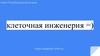 Клеточная инженерия