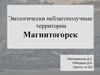 Экологически неблагополучные территории