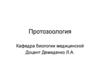 Протозоология. Класс жгутиковые