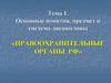 Правоохранительные органы РФ