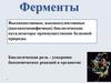 Ферменты. Строение ферментов