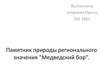 Памятник природы регионального значения