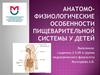 Анатомо-физиологические особенности пищеварительной системы у детей