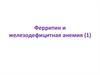Ферритин и железодефицитная анемия