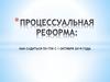 Процессуальная реформа