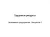Трудовые ресурсы. Экономика предприятия. Лекция  7