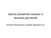 Циклы развития низших и высших растений