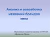 Анализ и разработка названий брендов сока