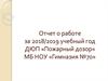 Отчет о работе ДЮП  «Пожарный дозор»