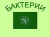 Бактерии. История открытия. Строение бактерий